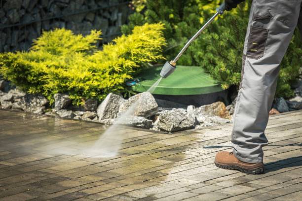 Best House Exterior Washing  in Zeigler, IL