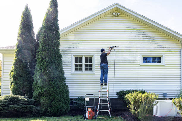 Best Roof Washing  in Zeigler, IL